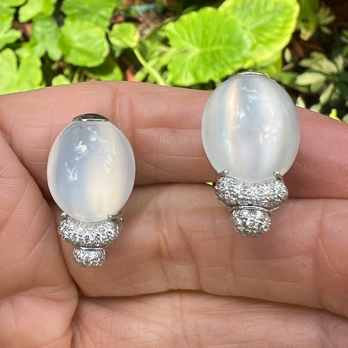 Henry Dunay - Platinum Cat's Eye Moonstone Diamond Earrings