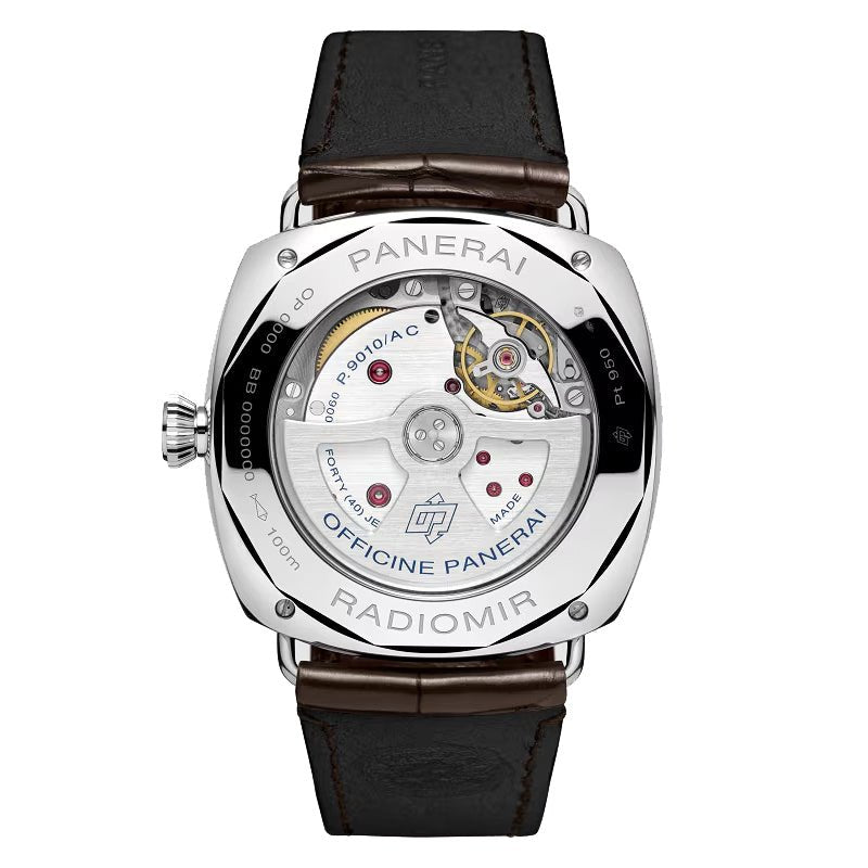 Panerai - Radiomir Annual Calendar Platinumtech (PAM01364)