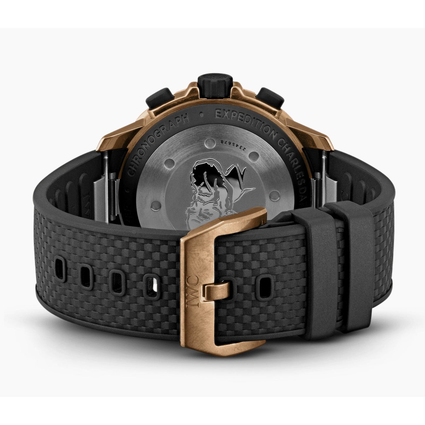 IWC Schaffhausen - Aquatimer Chronograph "Expedition Charles Darwin" (IW379503)