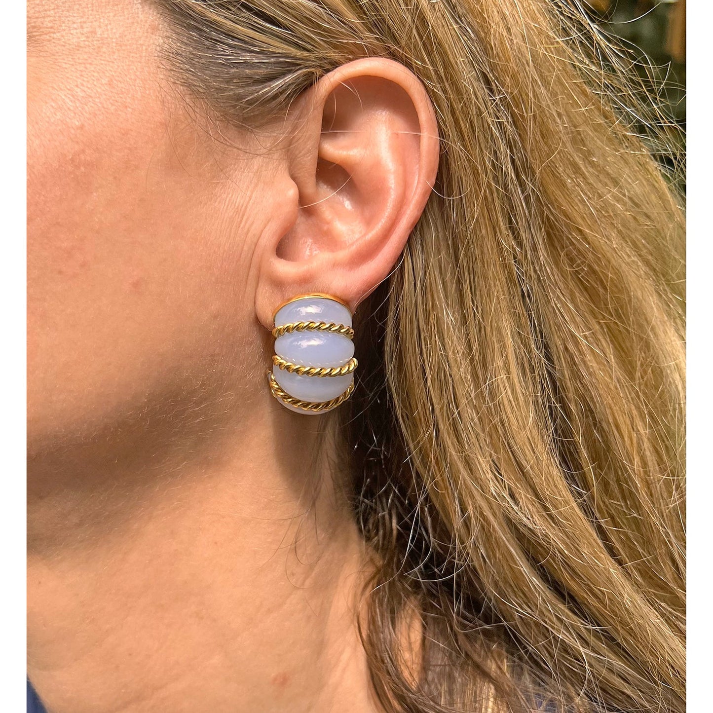 Seaman Schepps - 18k Yellow Gold Chalcedony Jumbo Shrimp Earrings