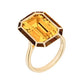 Goshwara - Citrine Tiger Eye Inlay Melange Ring