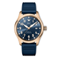 IWC Schaffhausen - Pilot's Watch Automatic Mark XX Le Petit Prince (IW328301)