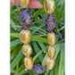 Peggy Guinness - Gold & Silver Gem - Set Bead Necklace