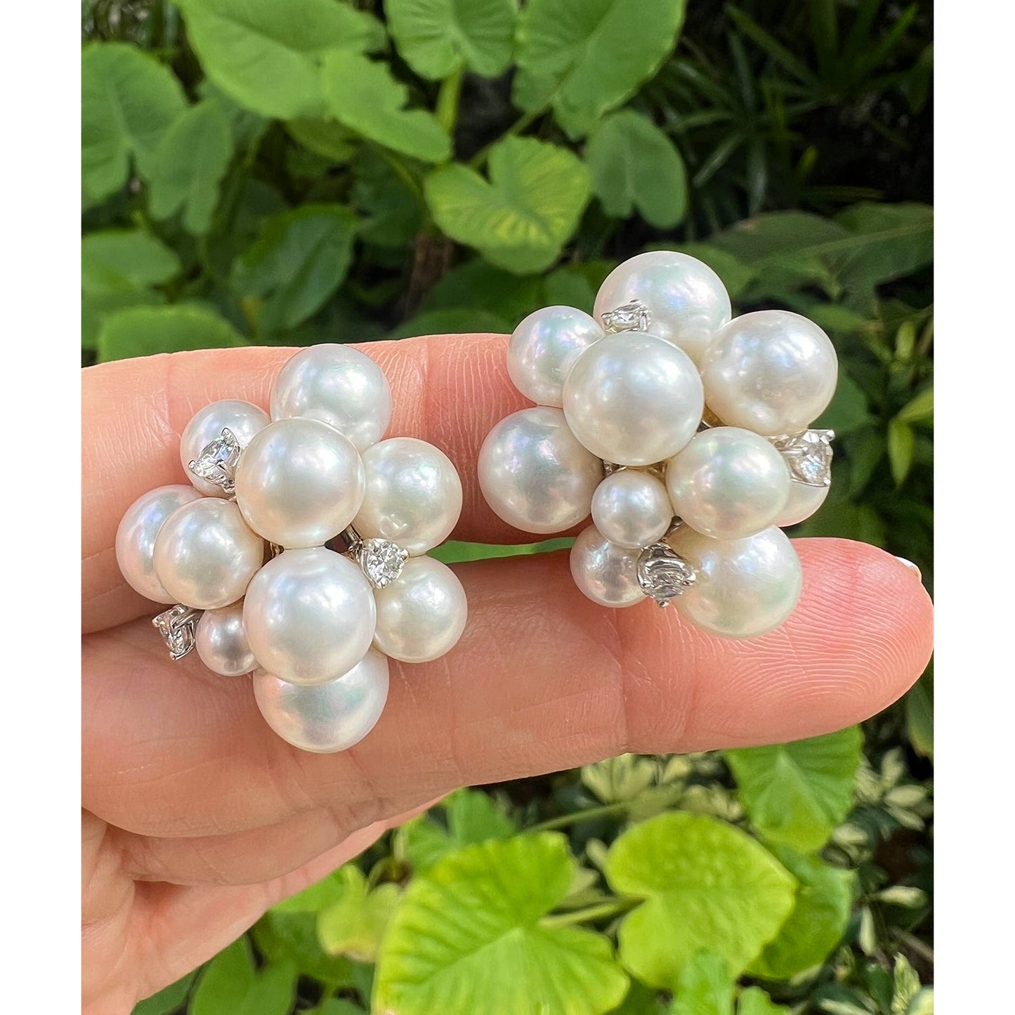 Seaman Schepps - 18k White Gold Pearl Diamond Bubble Earrings