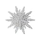 Tiffany & Co - Platinum Diamond Lace Sunburst Brooch