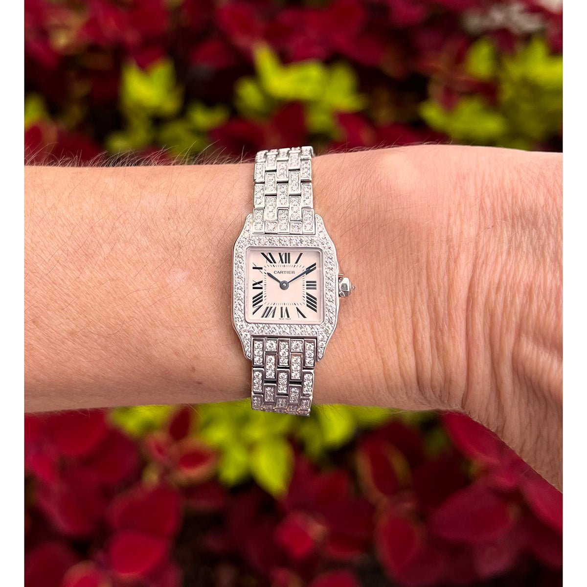 Cartier - Santos Demoiselle White Gold Diamond, Ref. WF9010YA