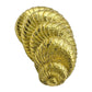 Estate Collection - David Webb 18k Yellow Gold Shell Brooch