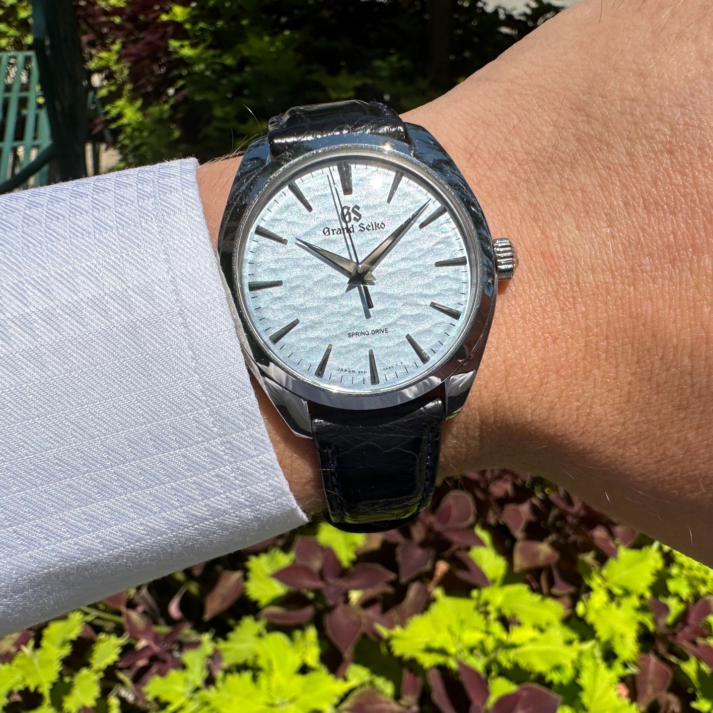 Grand Seiko Elegance Omiwatari Ref. SBGY007 Greenleaf Crosby